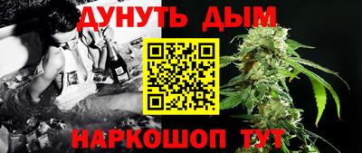ешки Гатчина