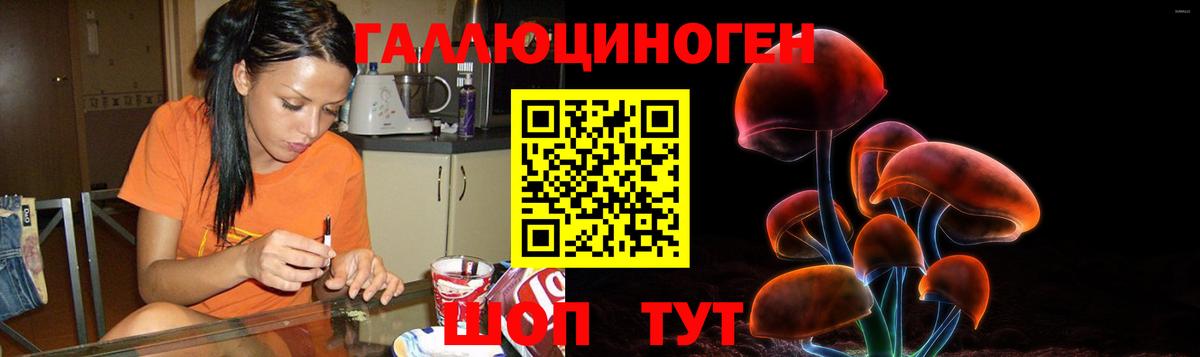 Псилоцибиновые грибы Cubensis Королёв